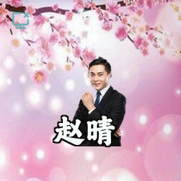 赵晴